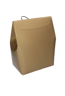 Kadozakjes Borgo Goud Met Plakstrip & Lint 18x11.5x24.5cm FSC® 10stuks