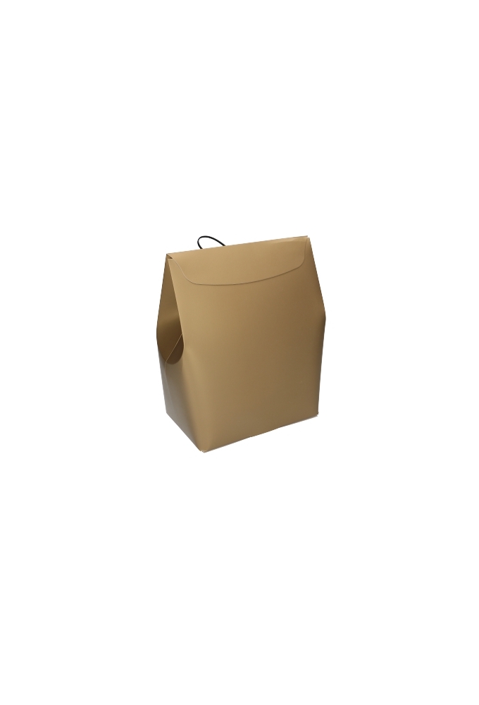 Kadozakjes Borgo Goud Met Plakstrip & Lint 18x11.5x24.5cm FSC® 10stuks
