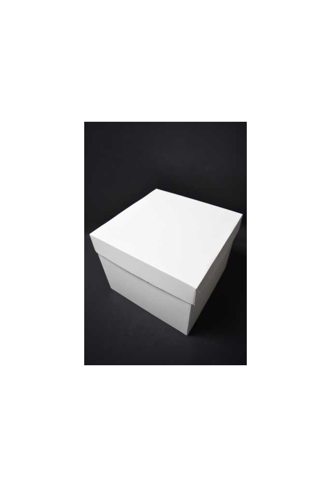 Luxe Geschenkdoos Torino Wit Mat FSC® 25x25x20cm 20stuks