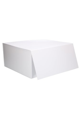 Luxe Magneetdozen New York FSC® Wit Mat 40x40x20cm 10stuks
