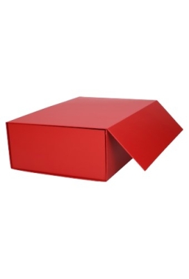 Wijn Magneetdozen New York FSC® Mat Rood 33x22x10cm Inlay 2fl 25stuks