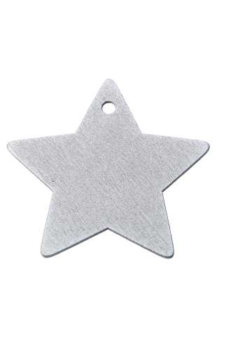 Houten Decoratie Star X-mas Zilver Hanger 6cm 100stuks