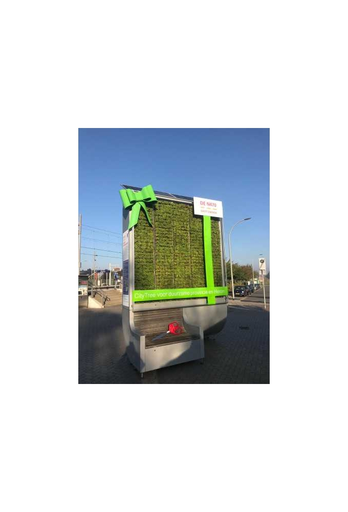 Breed Openings lint Lak Groen 25cm x 10meter