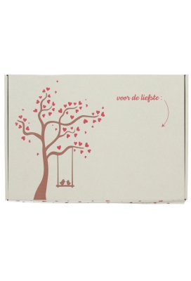 Brievenbusdoos Budget Liefde A4 31x22x2.8cm 10 stuks