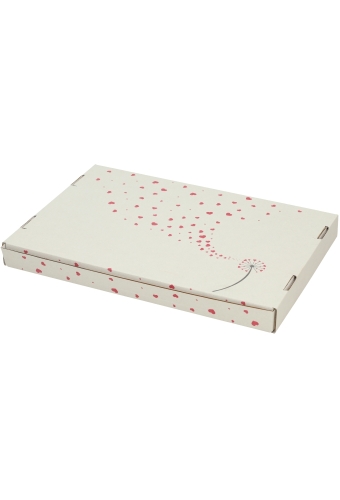 Brievenbusdoos Budget Liefde A4 31x22x2.8cm 10 stuks