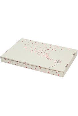 Brievenbusdoos Budget Liefde A4 31x22x2.8cm 10 stuks