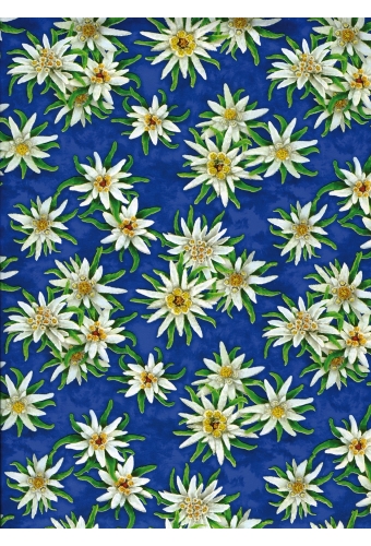 Kadopapier Consumentenrollen Everyday Bloem Blauw 70cm x 2meter 1stuks