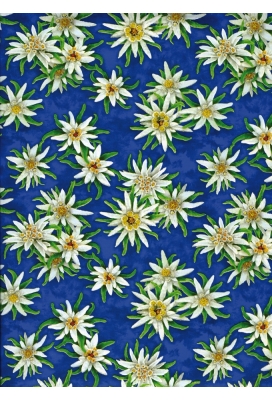 Kadopapier Consumentenrollen Everyday Bloem Blauw 70cm x 2meter 1stuks