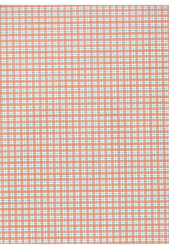 Kadopapier Consumentenrollen Everyday Ruit Oranje 70cm x 2meter 1st