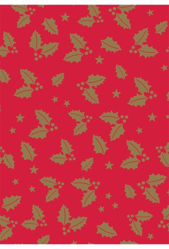 Kerstpapier Consumentenrollen Kerstmis Hulsttak Rood 70cm x 2meter 1s