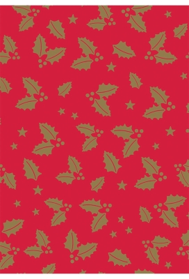 Kerstpapier Consumentenrollen Kerstmis Hulsttak Rood 70cm x 2meter 1s