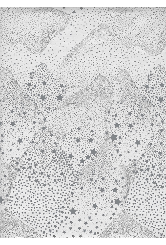 Kerstpapier Consumentenrollen Metallic Kerstmis White Stars 70cm x 2m