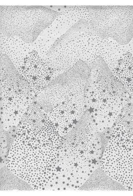 Kerstpapier Consumentenrollen Metallic Kerstmis White Stars 70cm x 2m