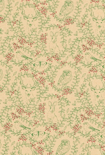 Kerstpapier Consumentenrollen Winter Garden Kraft 70cm x 2meter 1stuks