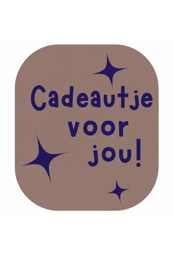 Etiketten Everyday Cadeautje voor Jou Kraft Blauw 3.8x4.4cm 250stuks