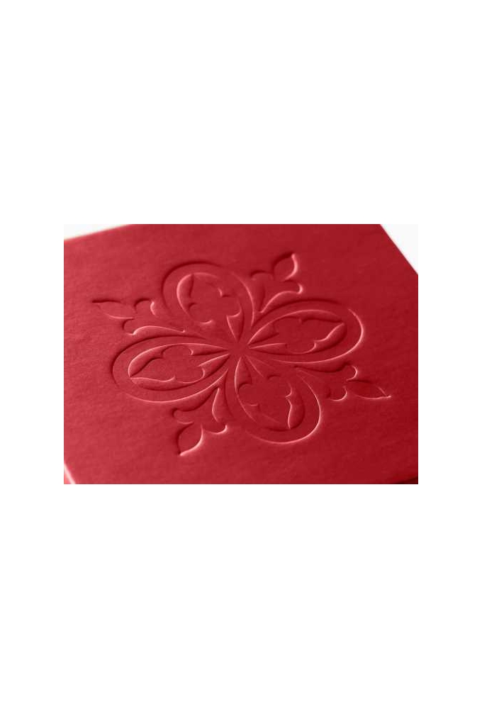 Luxueuze Magneetdozen Diamond & Lintje Rood 17x12x3.5cm 12stuks
