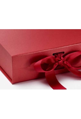 Luxueuze Magneetdozen Diamond & Satijn Rood 20.5x21.5x6cm 12stuks