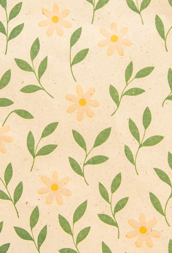 Geschenkpapier Graspapier Daisy Calm 50cm x 200meter