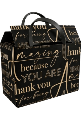 Draagbare Geschenkdoos Amazing Kraft Zwart 46x23x35cm 15stuks