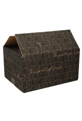 Geschenkdozen Something Special Zwart 62.5x41x20cm 15stuks