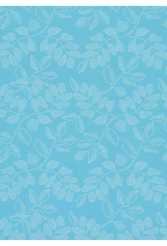 Geschenkpapier Eco Nature Wit Delos 80gr 50cm x 200meter