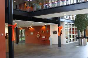 Decoratie Strik Rood 50x35+80cm Lint 18cm extra 50cm Lint