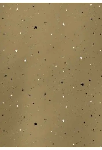 Kerstpapier Metallic stars are shinning goud 70cm x 150meter