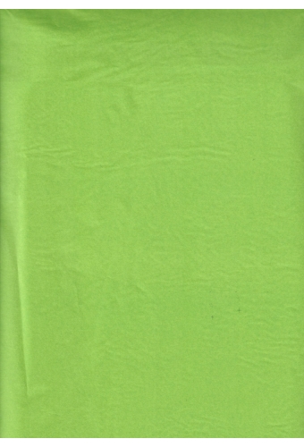 Zijdevloei - Vloeipapier Onbedrukt Licht Groen 50x75cm 240 vellen