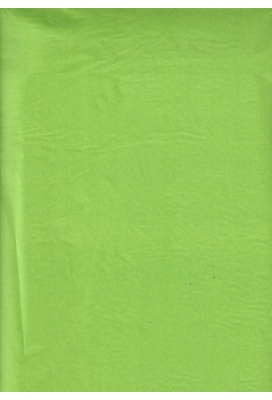 Zijdevloei - Vloeipapier Onbedrukt Licht Groen 50x75cm 240 vellen