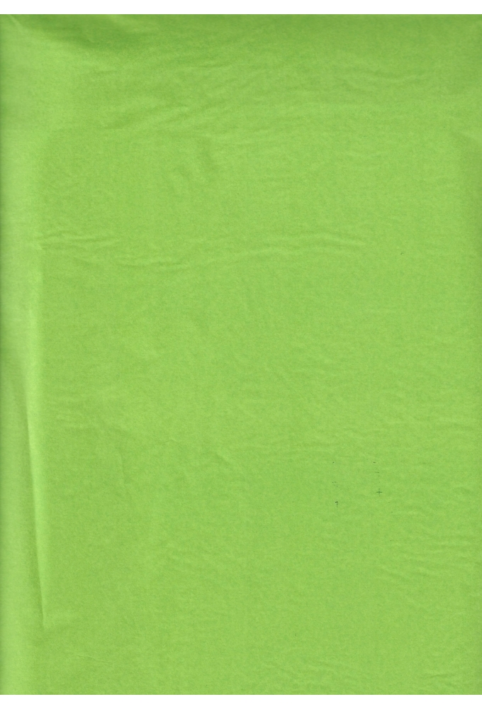 Zijdevloei - Vloeipapier Onbedrukt Licht Groen 50x75cm 240 vellen
