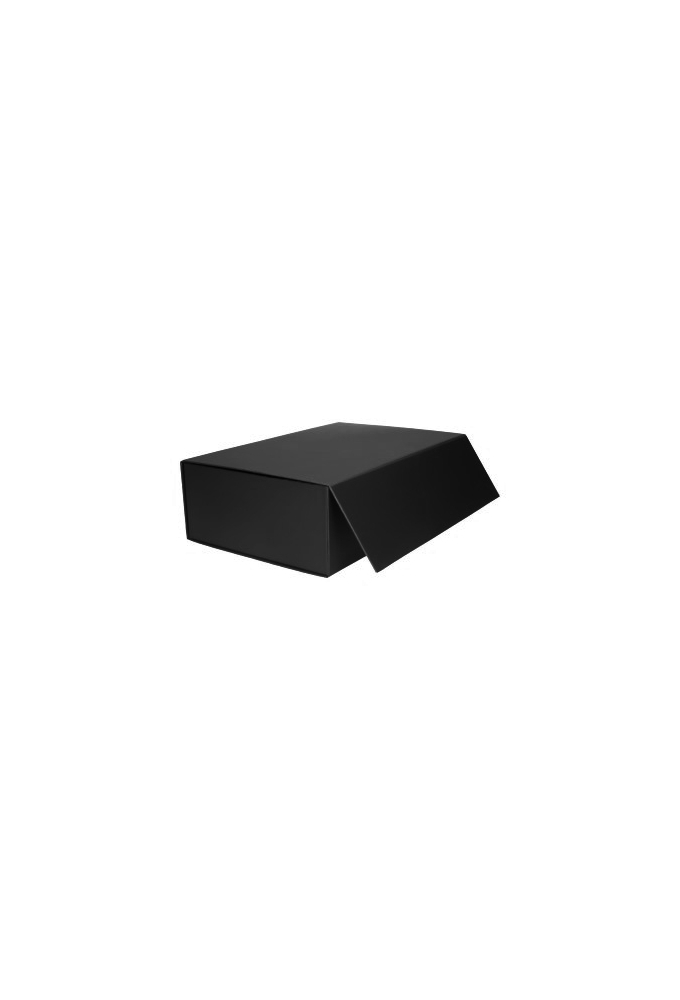 Wijn Magneetdozen New York FSC® Zwart Mat 33x22x10cm Inlay 2fl 25stuks