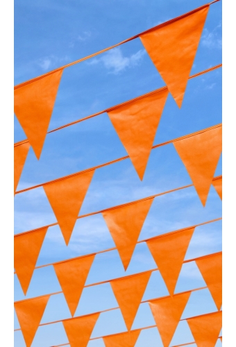 Vlaggenlijn Oranje 20x30cm lengte 10 meter