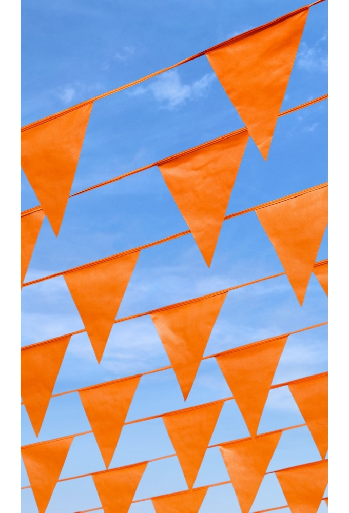 Vlaggenlijn Oranje 20x30cm lengte 10 meter