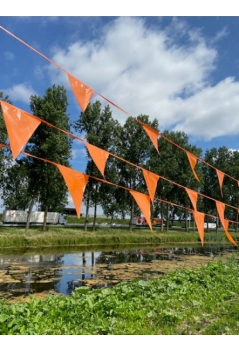 Vlaggenlijn Oranje 20x30cm lengte 10 meter