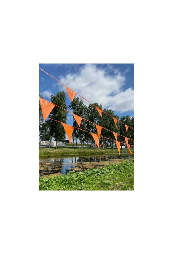 Vlaggenlijn Oranje 20x30cm lengte 10 meter