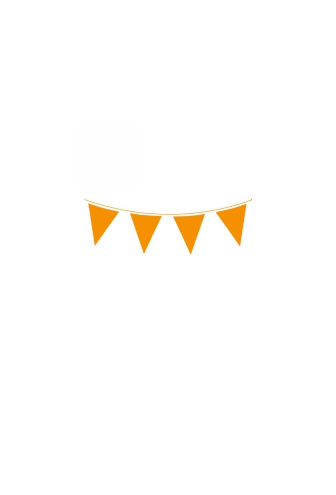 Vlaggenlijn Oranje 20x30cm lengte 10 meter