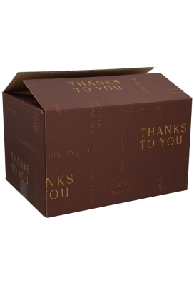 Kerstpakketdozen Thanks To You 49x39x20cm 15stuks