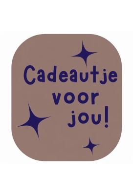 Etiketten Everyday Cadeautje voor Jou Kraft Blauw 3.8x4.4cm 250stuks