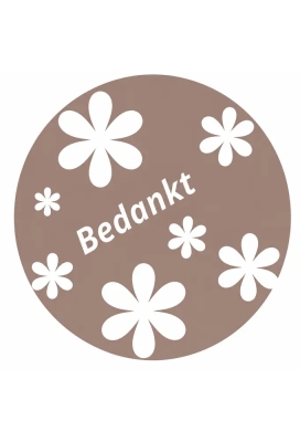 Etiketten Feest Bedankt Kraft 4cm 250stuks