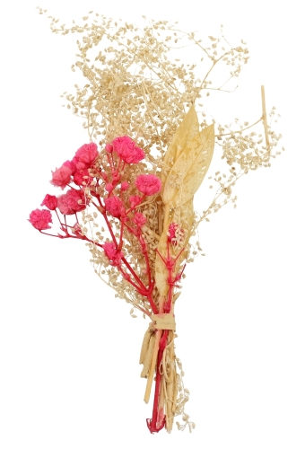 Droogbloemen Mini Decoratie Flowers Pink 10cm 1 Bosje OP IS OP