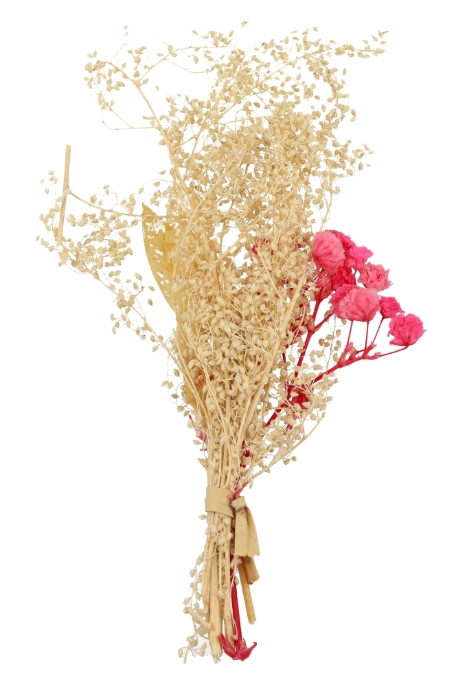 Droogbloemen Mini Decoratie Flowers Pink 10cm 1 Bosje OP IS OP