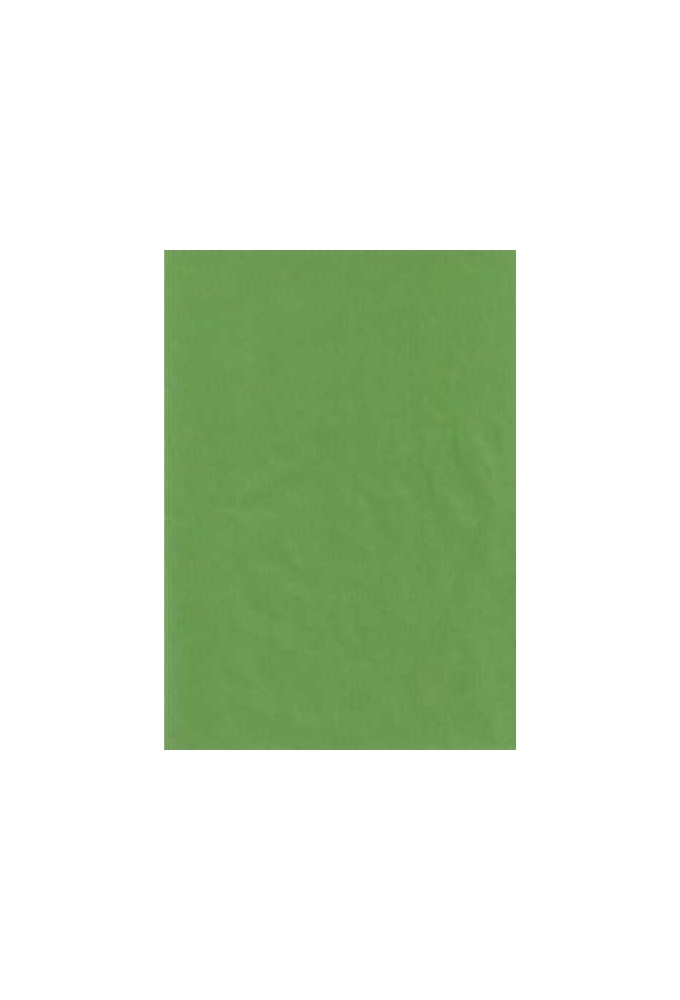 Kraft Bruin Inpakpapier Lime Groen 60gram 30cm x 250meter