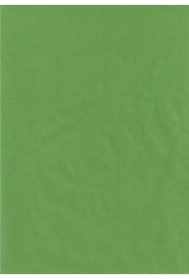 Kraft Bruin Inpakpapier Lime Groen 60gram 70cm x 250meter