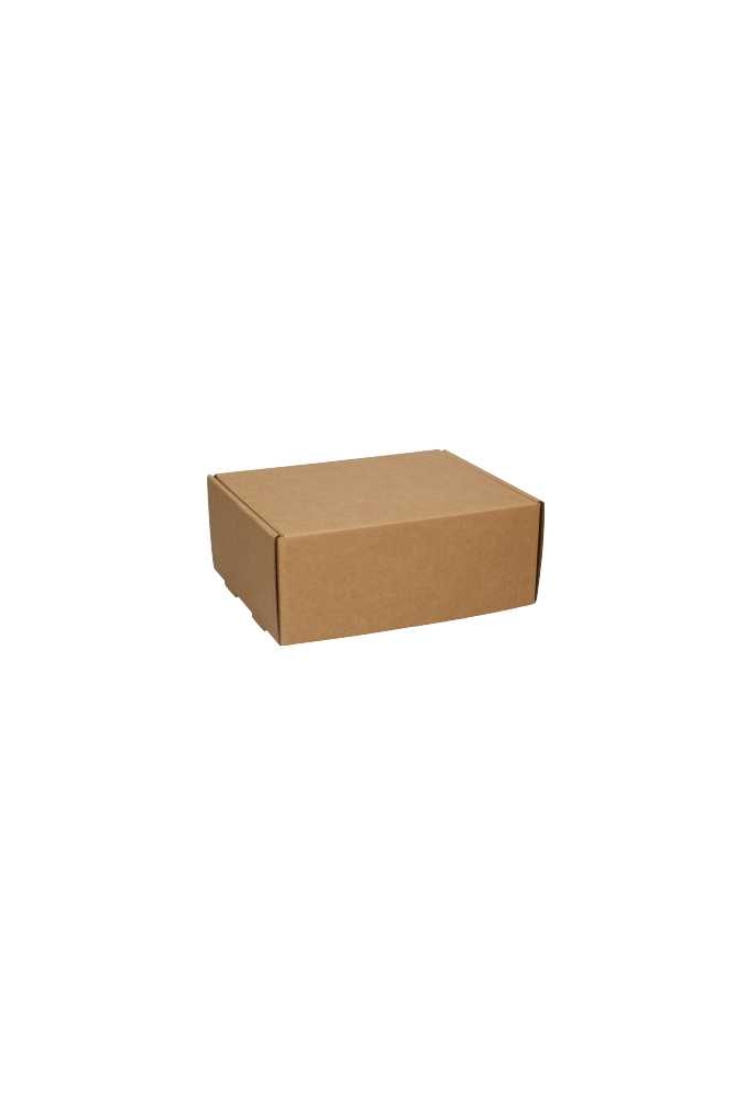 Verzenddoos Klepdoosje Budget Fast Naturel 19.8x16x8cm 10stuks