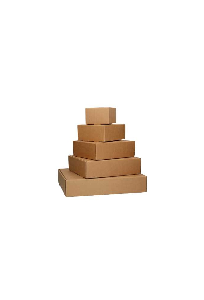 Verzenddoos Klepdoosje Budget Fast Naturel 19.8x16x8cm 10stuks