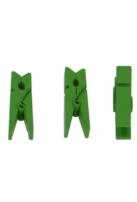 Houten Decoratie Groen Houten Knijper 3.5cm 24stuks