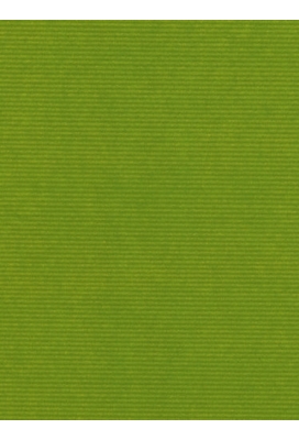 Kraftpapier Kraft Uni unicolor limegreen 50cm x 200meter