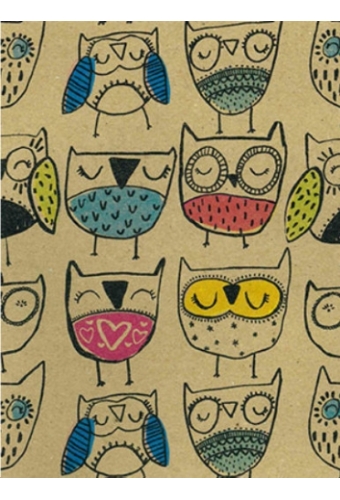 Kraftpapier Bruin recycled happy owl multicolor 50cm x 200meter