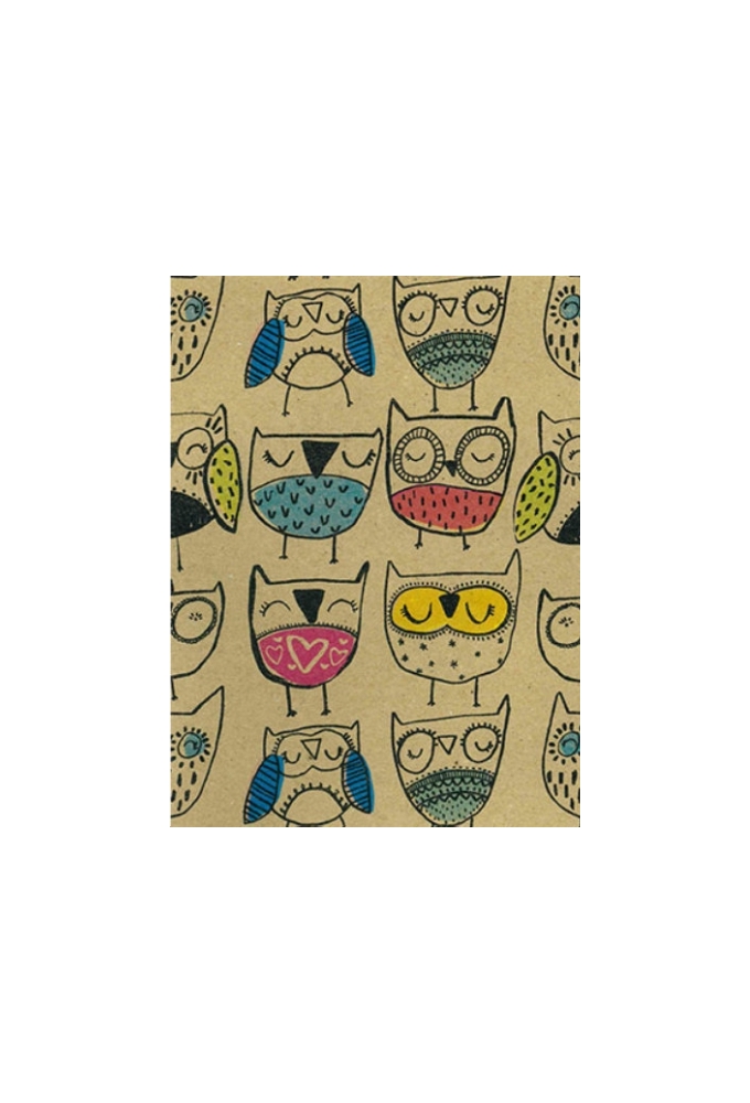 Kraftpapier Bruin recycled happy owl multicolor 50cm x 200meter