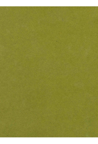 Kraftpapier Bruin recycled kraft uni olive green 50cm x 200meter